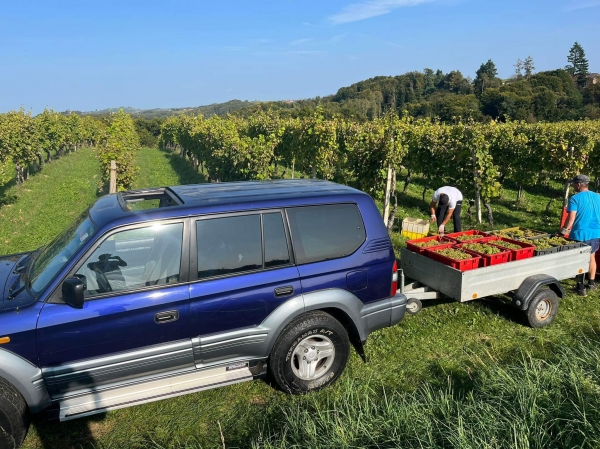 TOYOTA Land Cruiser 95