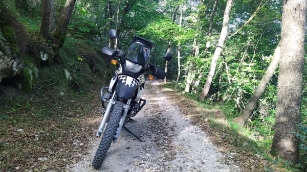 BMW F650gd